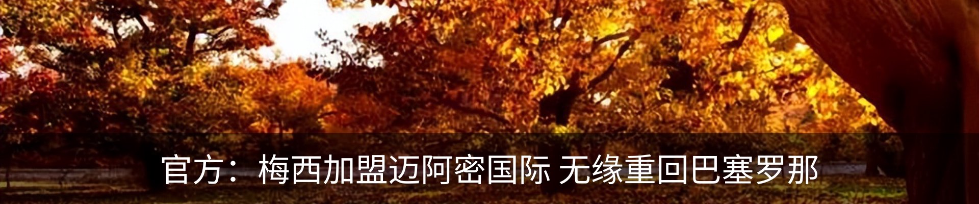 新闻中心
